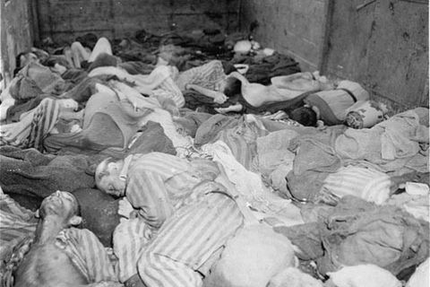 Victims of concentration camps 