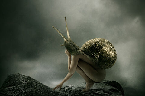 LONELY SNAIL