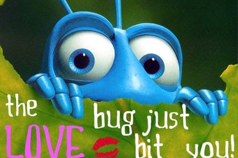 LOVE BUG...BITE !?X