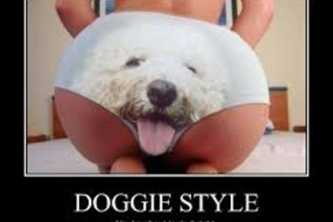 DOGGIE..FASHION!?X
