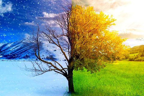 Goodbye Winter. Hello Spring!