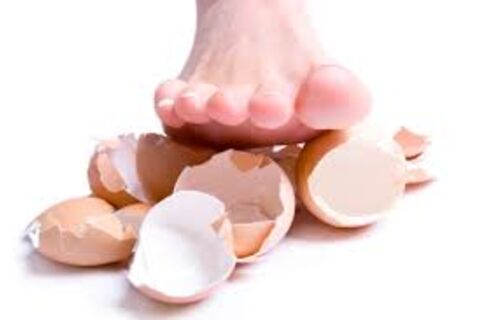 EGGSHELLS