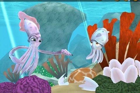 Octopus Joey