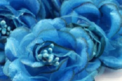 "FLORE AZURE"