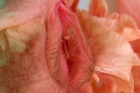 WATER MY EROTIC FLOWER..FOR ME!?X