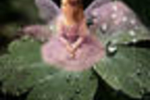 The Dewdrop Fairy