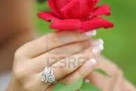 A Rose for Donna