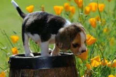 Spring has Sprung