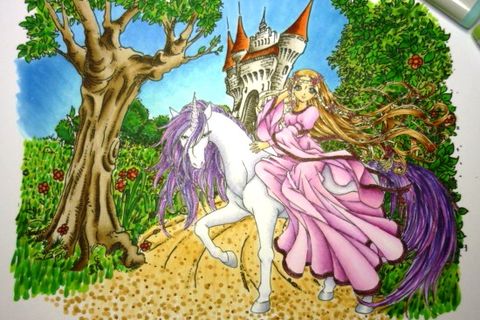 THE PRINCESS AND THE UNICORN