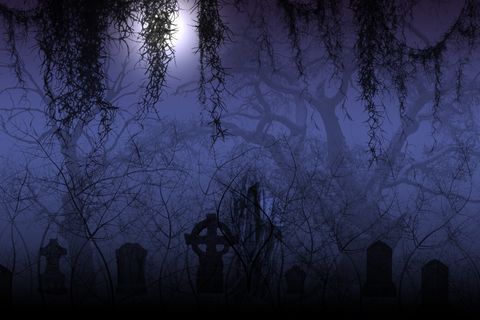 Echoes In The Night