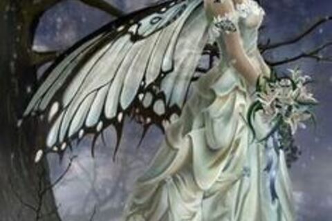 FAIRY DANCE ( Shadorma Form)