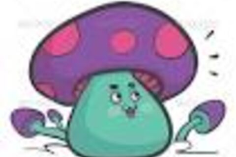 THE PURPLE MUSHROOM