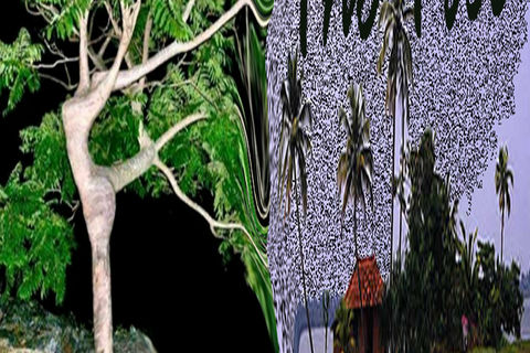 The Tree....
