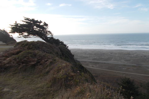 A Sunday at the Beach