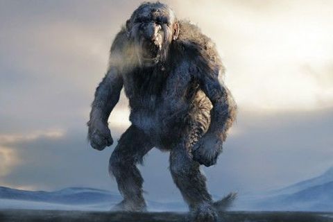 The Troll