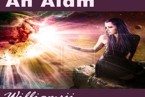 An Alarm.....