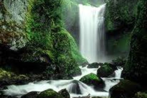 The Well Within