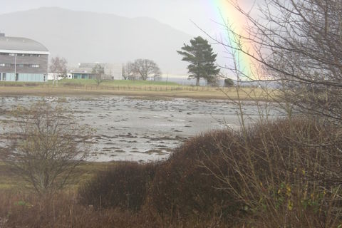 Brother&#039;s Costs