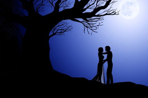 Dancing on a Moonlit Night