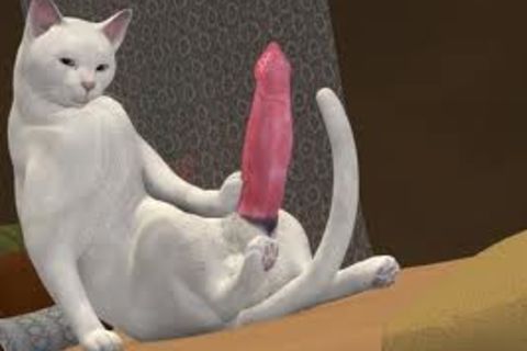 THE ULTIMATE...PURR-FECT PUSSY !?X