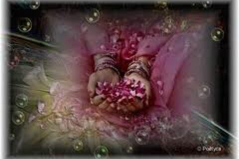 Petals of Love