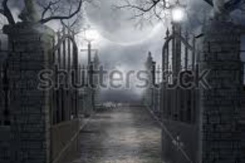 The Quiet Night