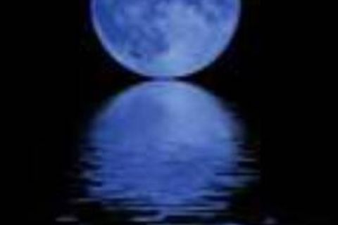 The moon shadows ~ La lune ombres