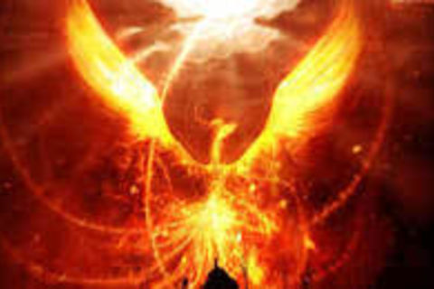 PHOENIX RISING FROM THE FLAMES..
