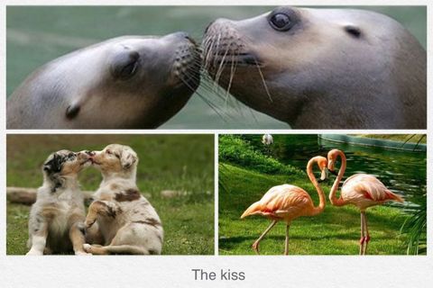 The kiss ~ il bacio