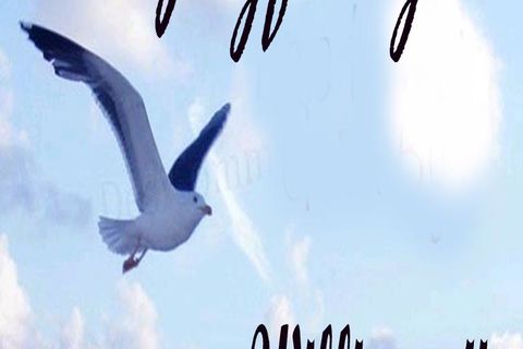 Joyfully......