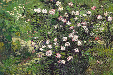 The Roses
