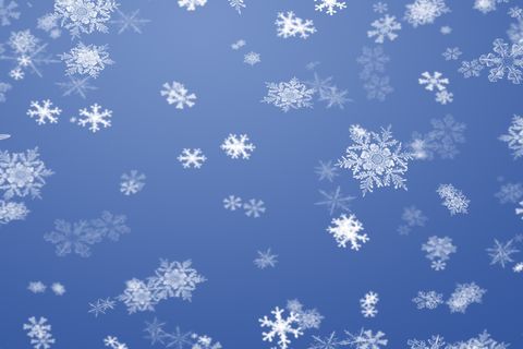 Snows Wonder