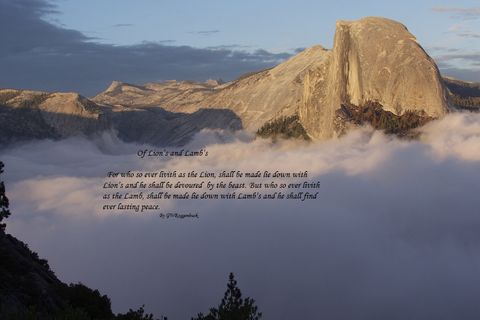 Lion&#039;s and Lamb&#039;s