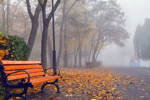 Sorrow