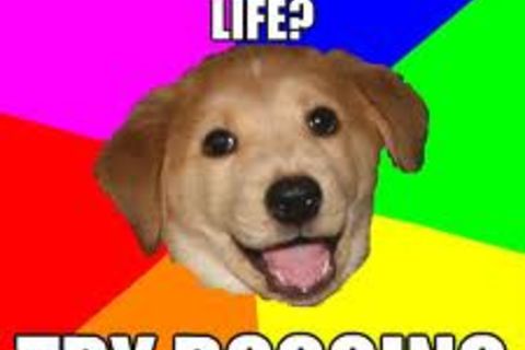 DOGGIN !?X
