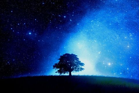 When I  Become A Star