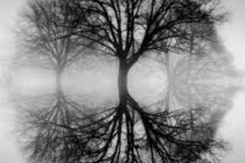 Reflection