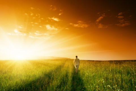 Alone Under the Sun