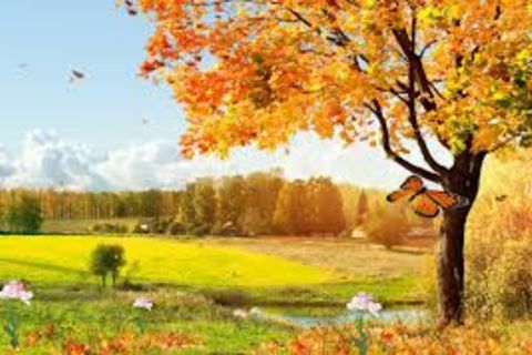 The Beauty of Nature