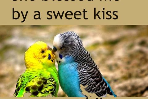 She Blessed me by a sweet Kiss !  