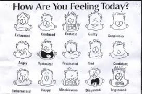 FEEL