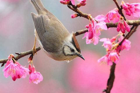 I wish for your freedom I wish for your freedom