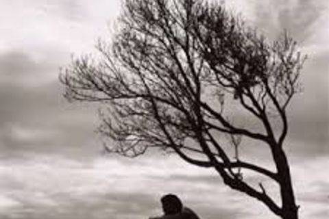 NEVER WILL LET GO