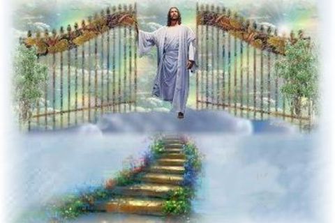 The gate