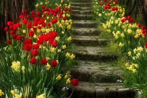 Spring Tranquillity 
