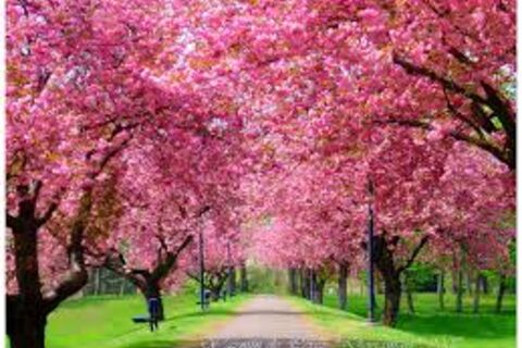 Spring Is In The Air