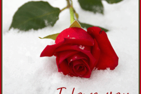~~DO WE REALLY KNOW WHAT LOVE REALLY IS??