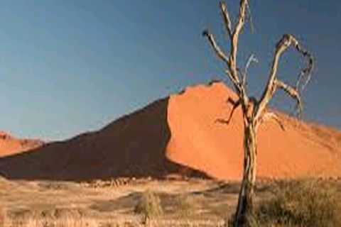 A  Desert Song