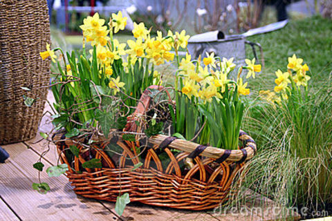 Baskets of Love