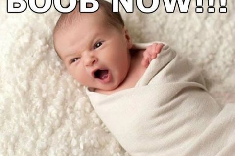 BOOB....NOW !!!!!!!!X